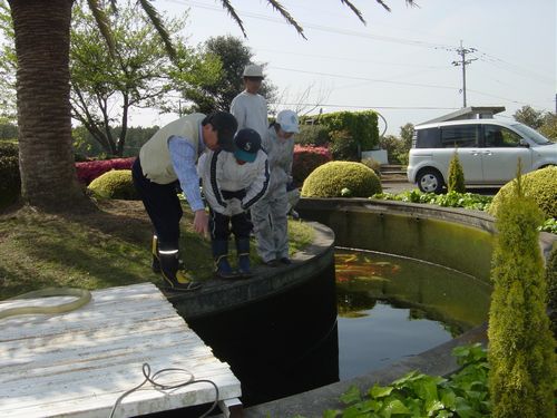 鯉をすくって池掃除 ドリーム４０