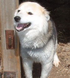 そらっちのお母さん