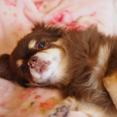 ��NEW�Τ��Ĥ�