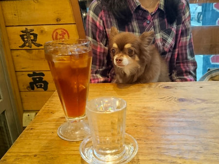 磯丸水産 三軒茶屋 Little Devil