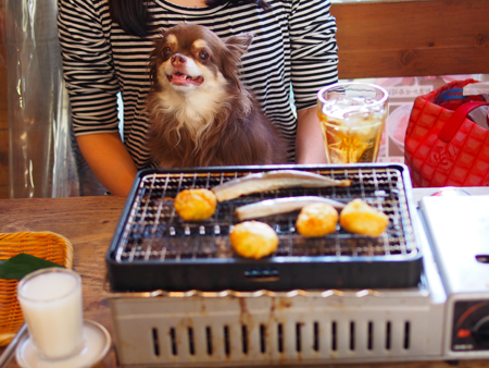 磯丸水産 三軒茶屋 Little Devil