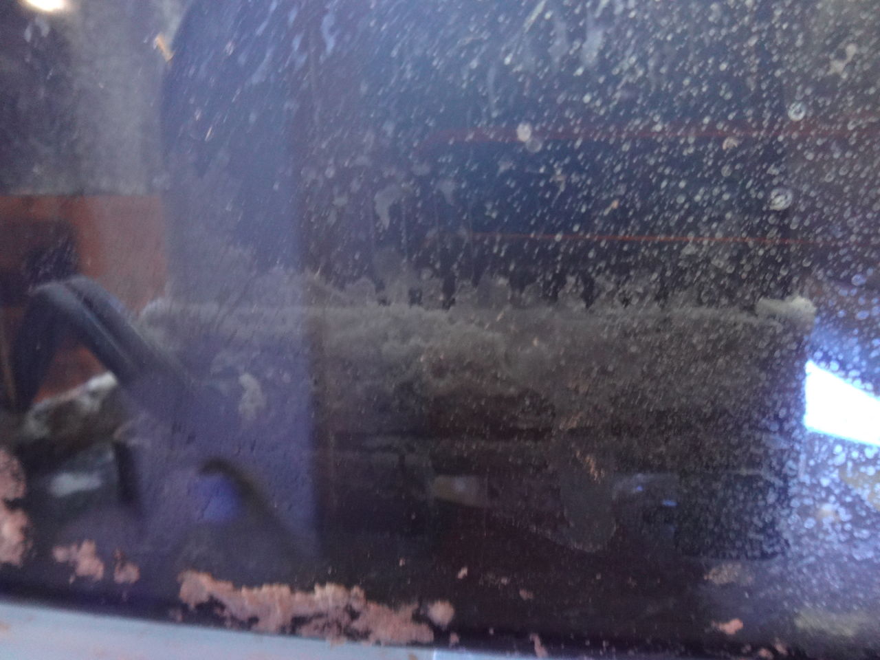 上部フィルター 疲れたからちょっと休むわ 魚たち やめてー ゆうこ村水族館 上部フィルター 疲れたからちょっと休むわ 魚たち やめてー ゆうこ村水族館