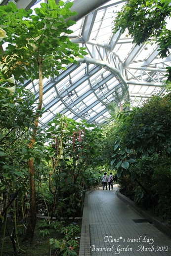 京都府立植物園 温室 Kana S Travel Diary Photo Diary 京都府立植物園 温室 Kana S Travel Diary Photo Diary