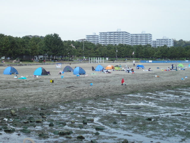 16 4月 天然アサリの潮干狩り 海の公園 マイボート釣りのブログ