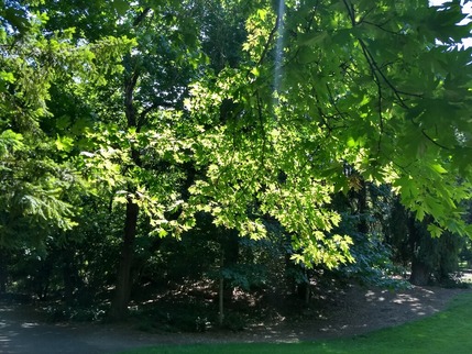 IMG_20200707_143817968_HDR