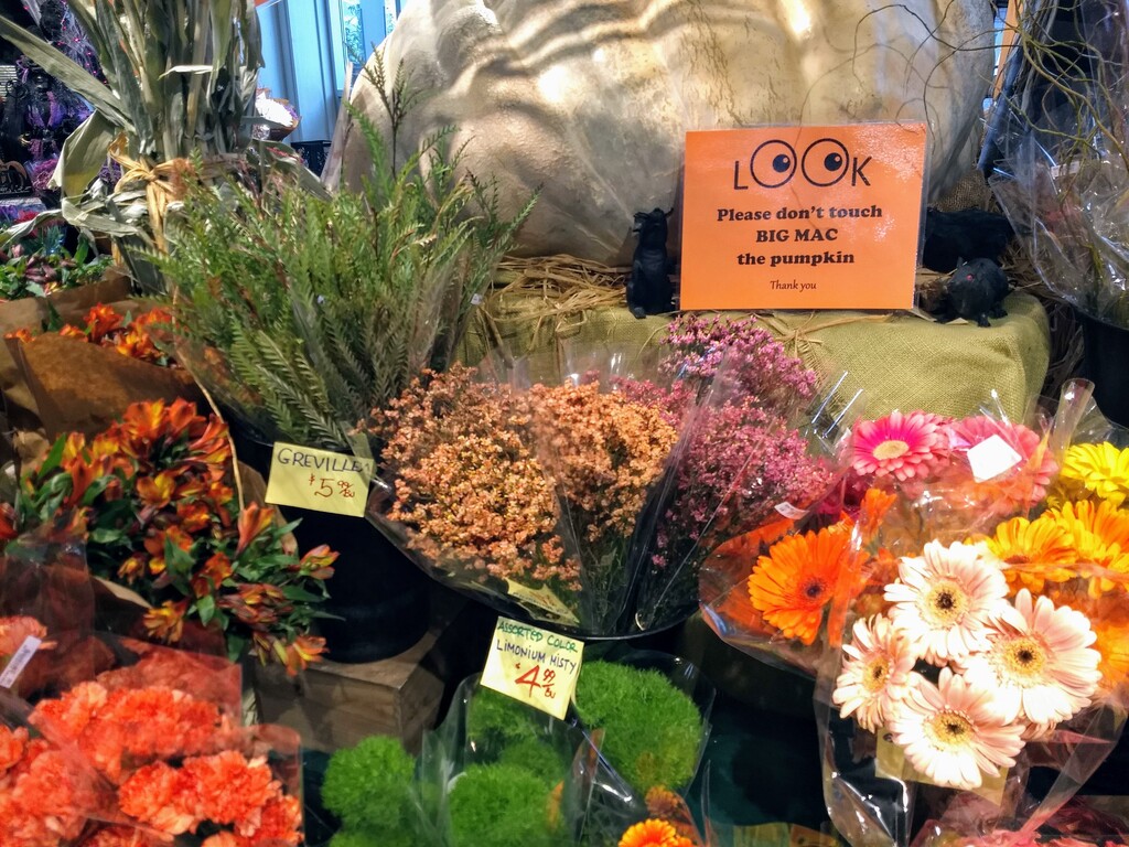 花売り場でため息 とある母娘のハッピーデイズ 花売り場でため息 とある母娘のハッピーデイズ