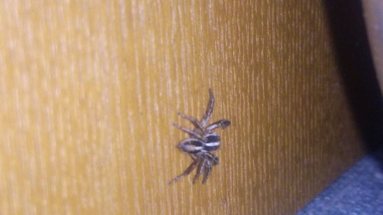 実は私 同棲してるんです 北のモトコンポ ジスペケ主ブログ