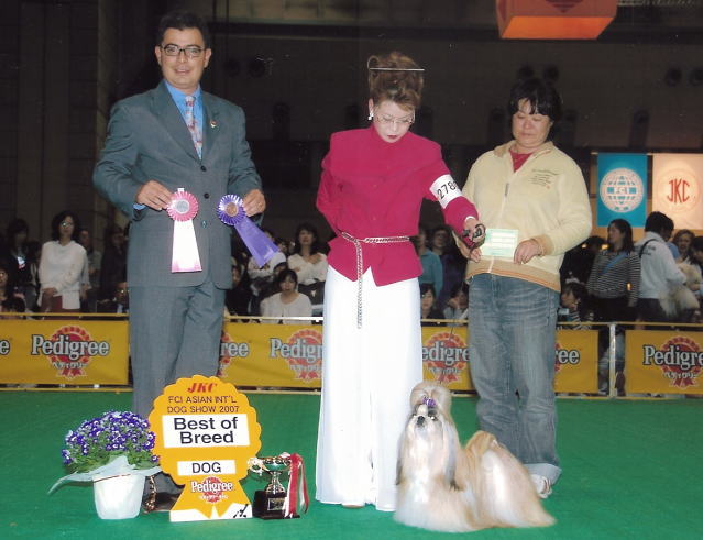 Int Ch Ch イーガーリンク ギャングバスター Fci ラブドッグスクール In 岡山