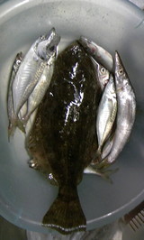 53c5e7d6.JPG