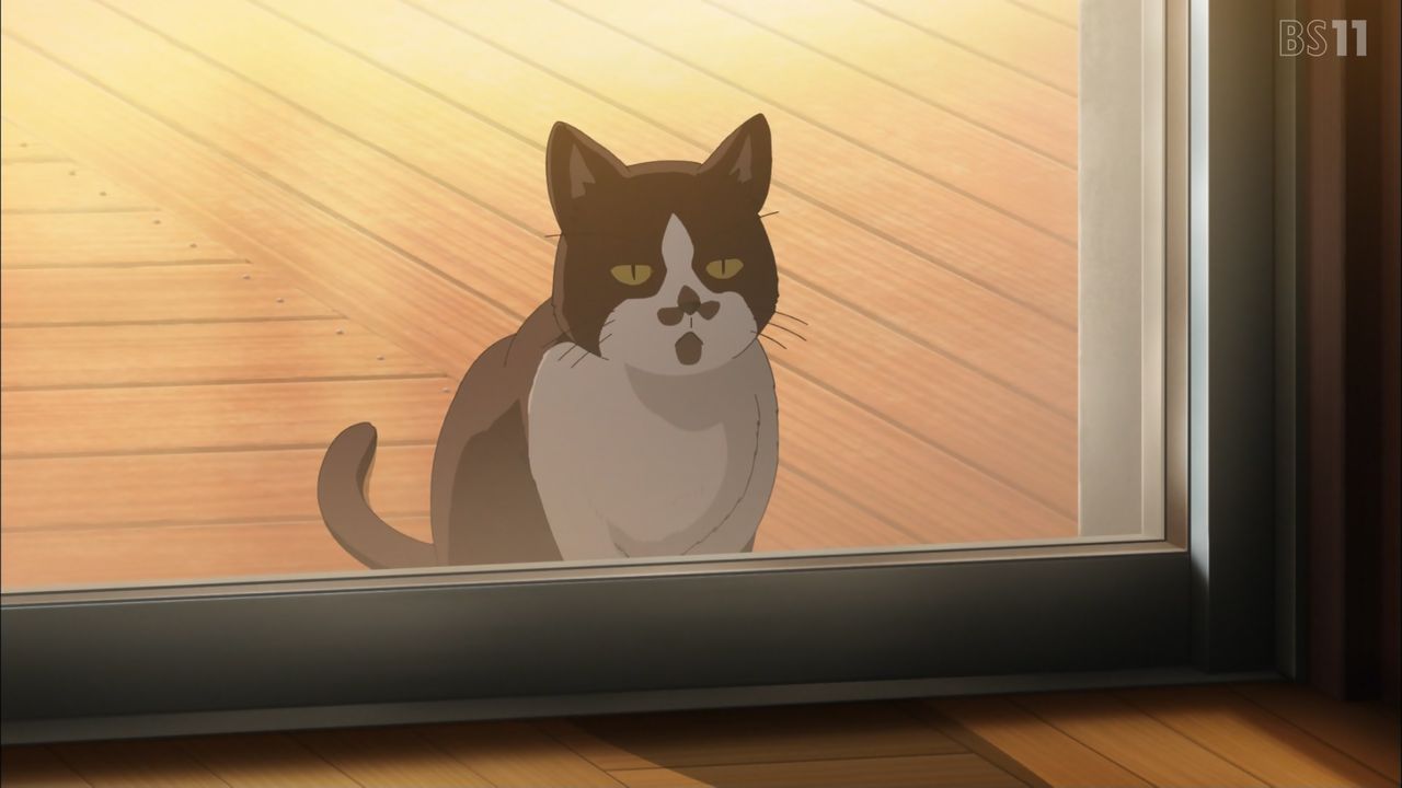 第8話 感想 ゆるキャンの世界には猫がいないもんだと思ってた ゆるキャン 2期 群雄割拠 第8話 感想 ゆるキャンの世界には猫がいないもんだと思ってた ゆるキャン 2期 群雄割拠