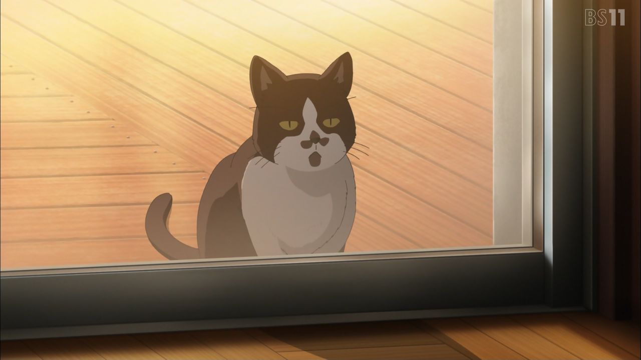 第８話 感想 ゆるキャンの世界には猫がいないもんだと思ってた ゆるキャン ２期 群雄割拠