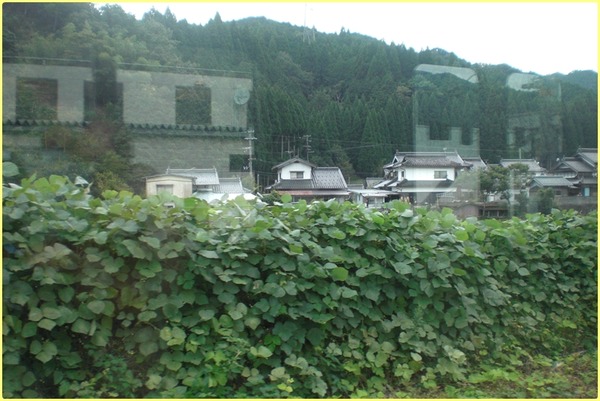 CIMG2685変換済