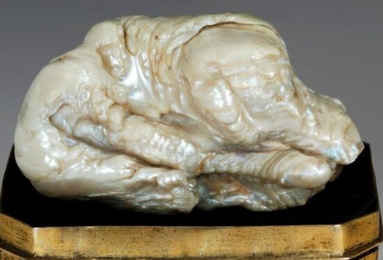 sleeping-lion-pearl-1-style-story-top-super-169