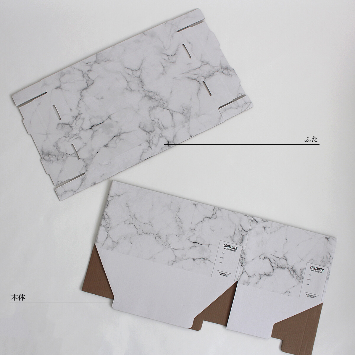 cando5_0295-aa