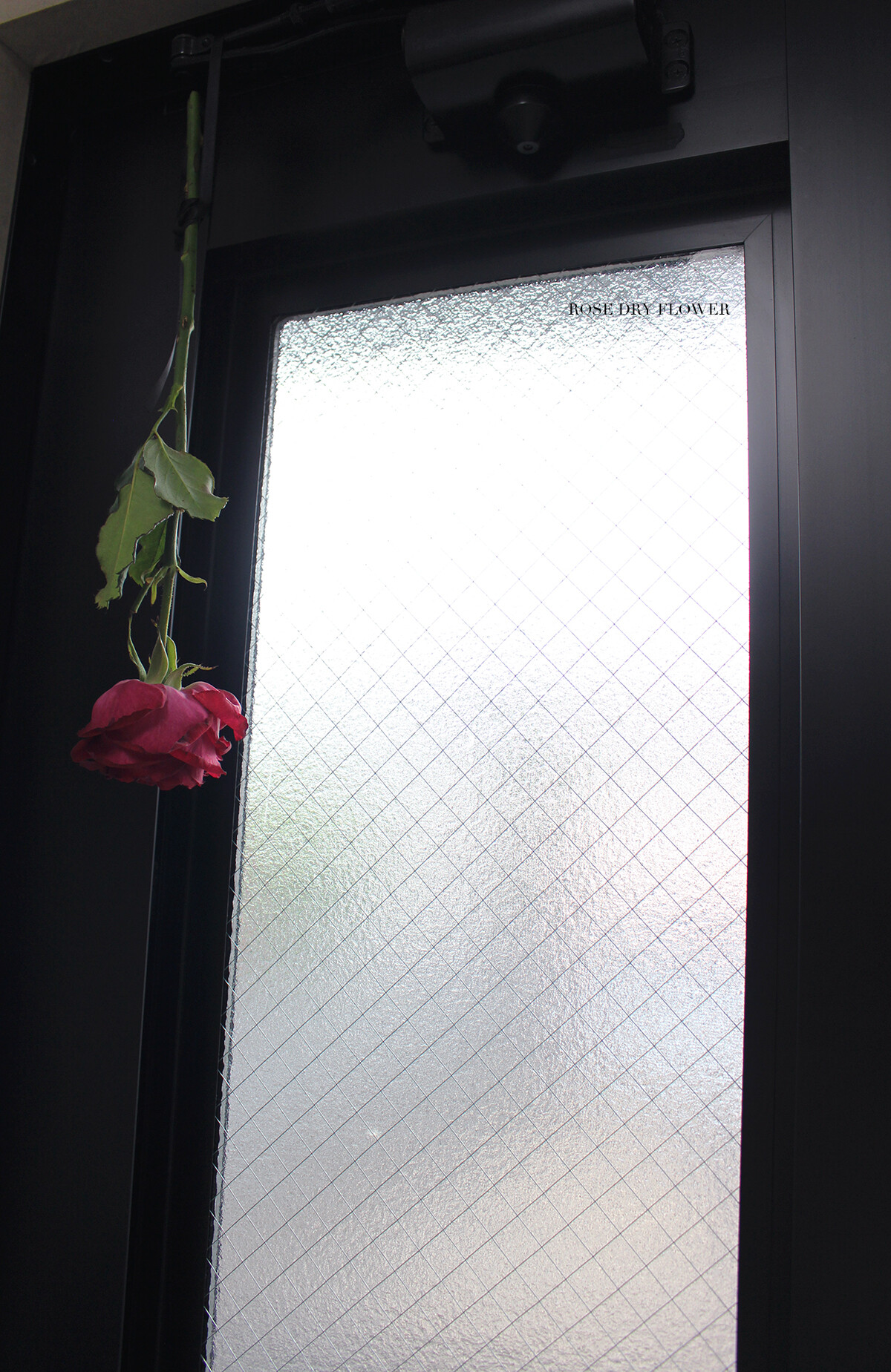 lovehome_4135-aa