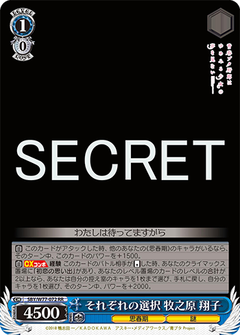 それぞれの選択 牧之原 翔子