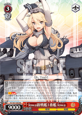 Iowa級戦艦1番艦 Iowa