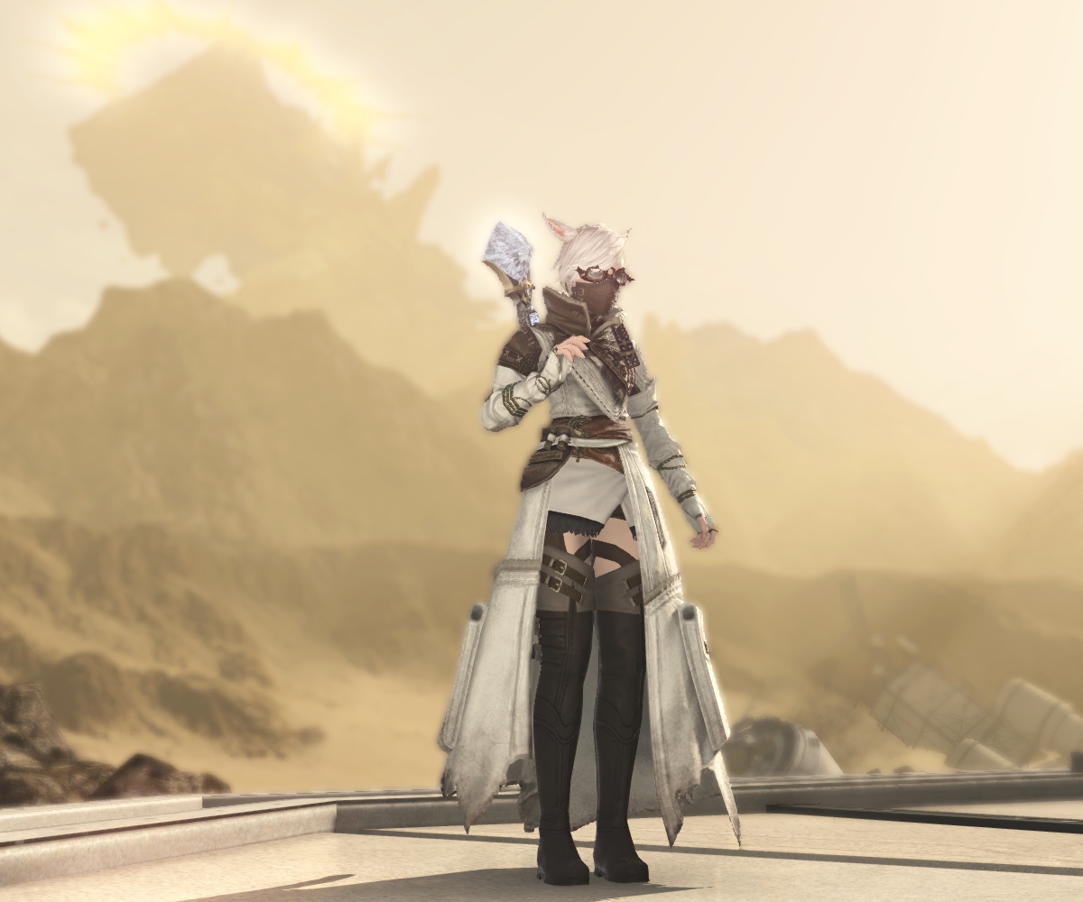 戦場の癒し手 Land Like A Cat