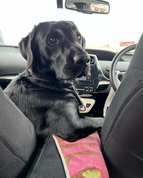 D4BAC5EC-2962-4616-B416-1EC0794B7E23