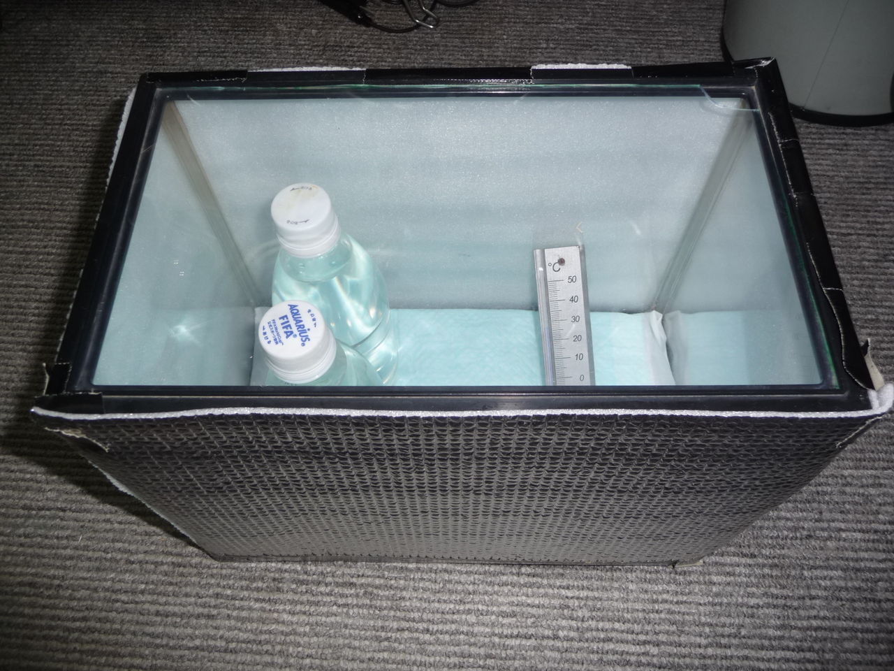 １７日目 コリンウズラの人工孵化記録