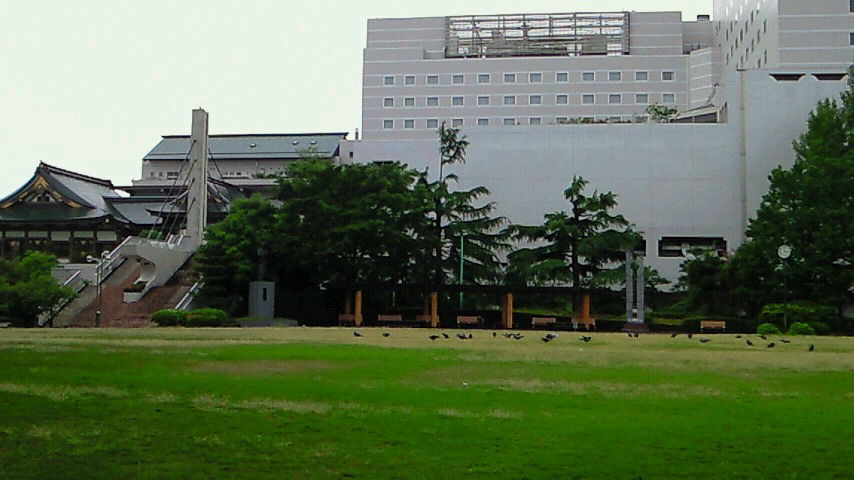 イメージ 3
