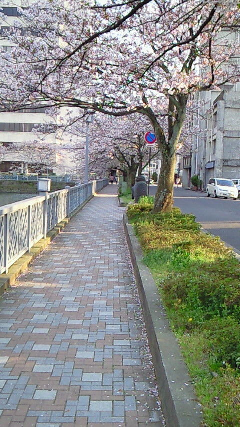 イメージ 4