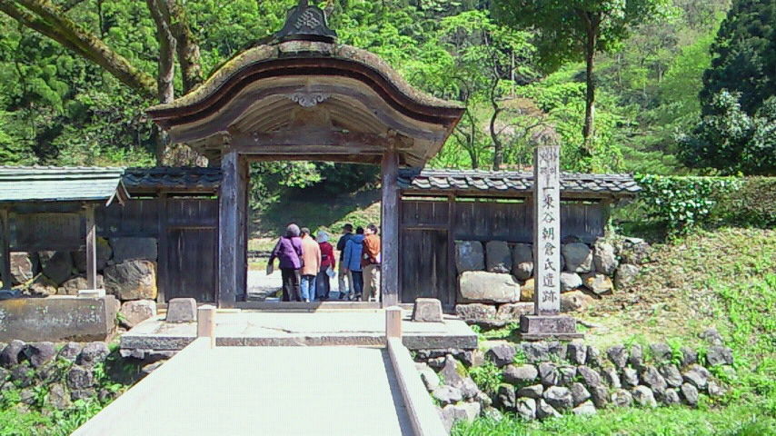 イメージ 5