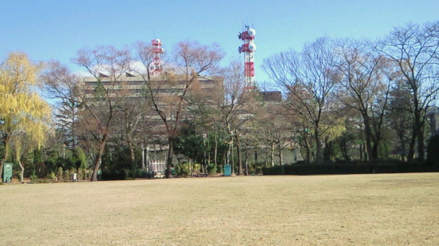 イメージ 4