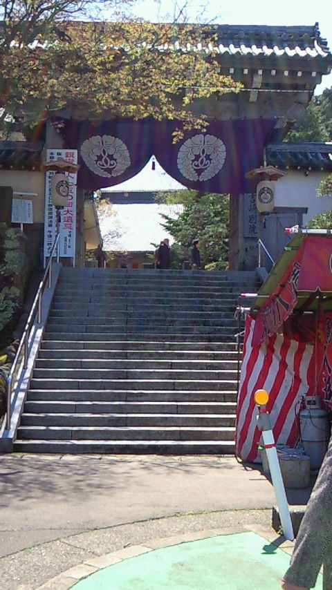 イメージ 5