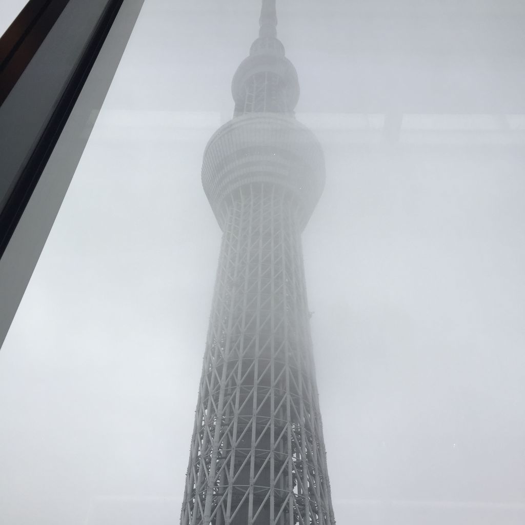 イメージ 6