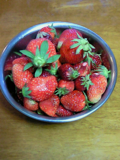 イメージ 5