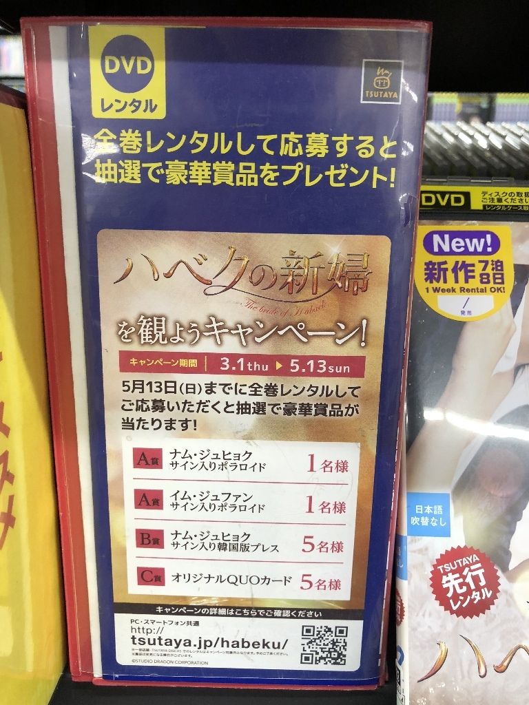 イメージ 7