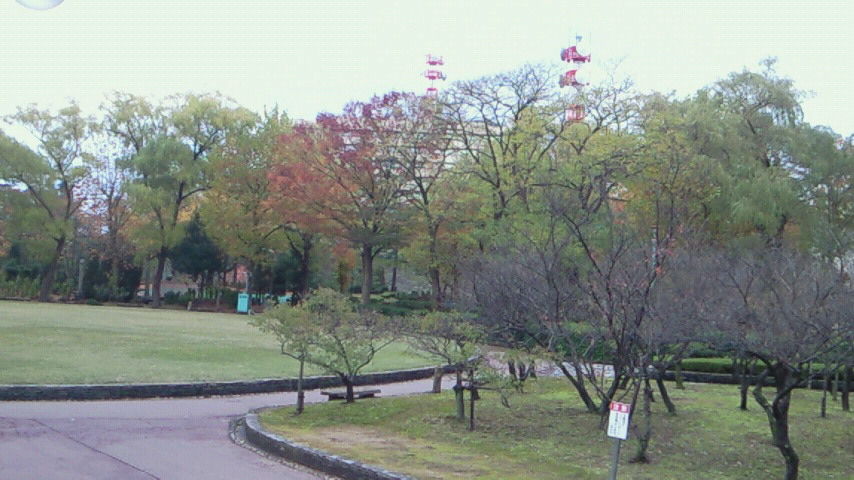 イメージ 3