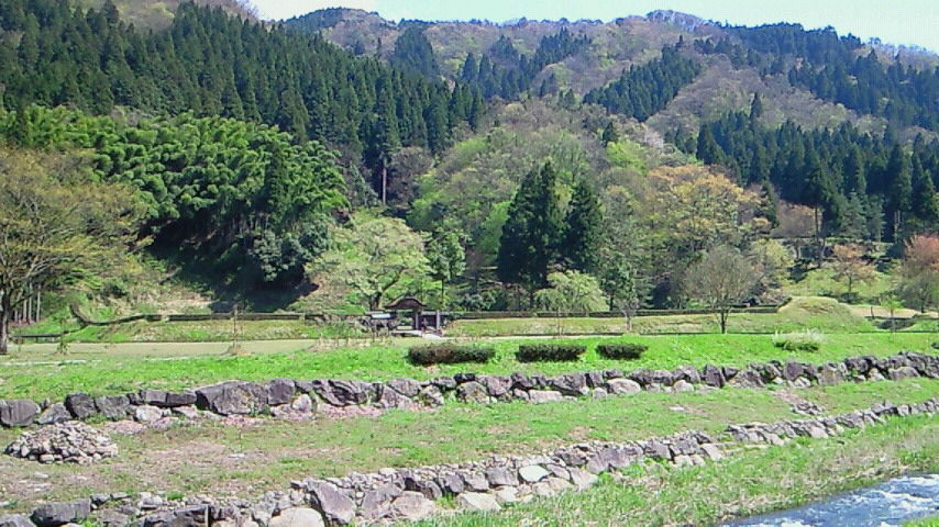 イメージ 6
