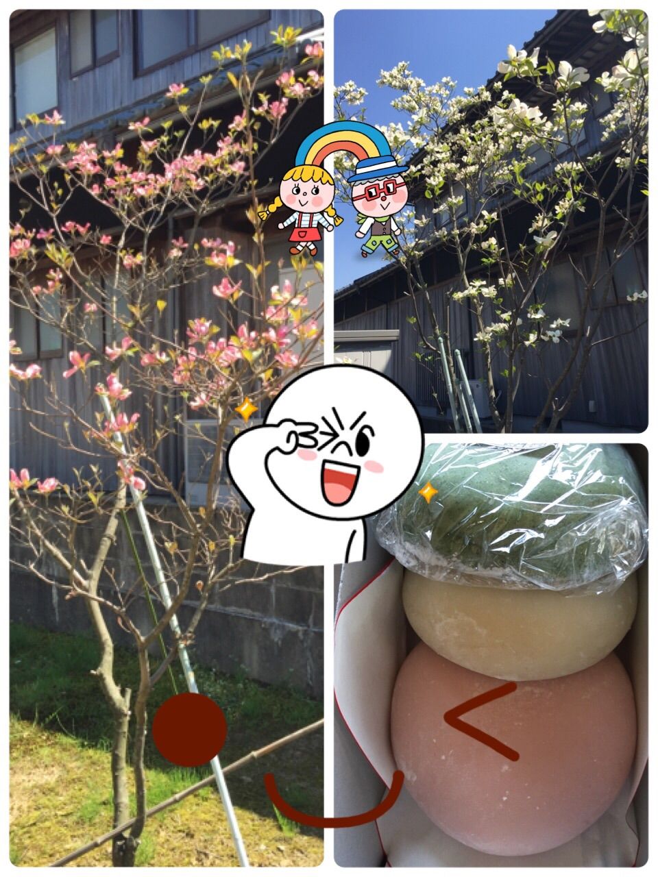 イメージ 1