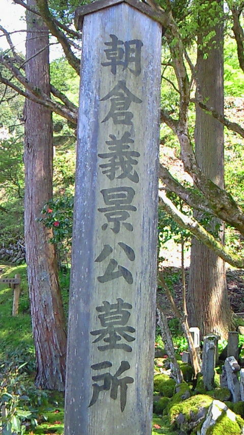 イメージ 8