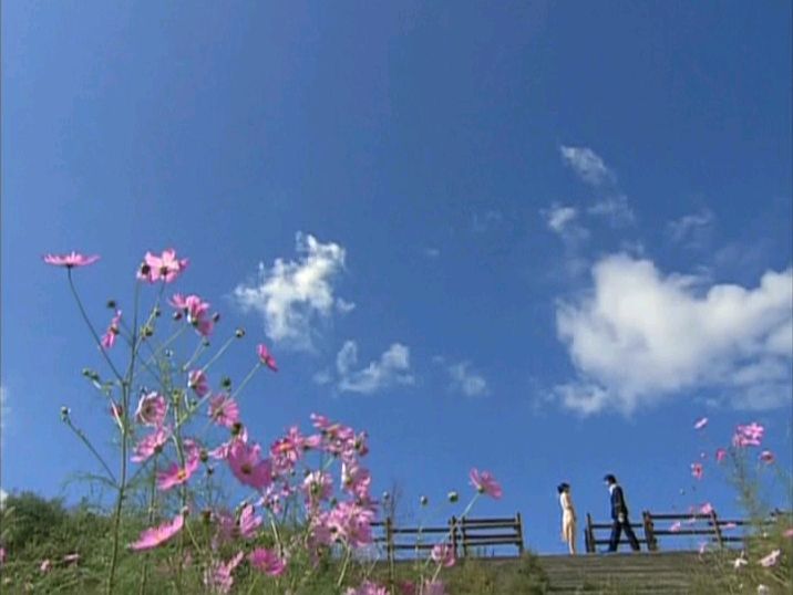 イメージ 1