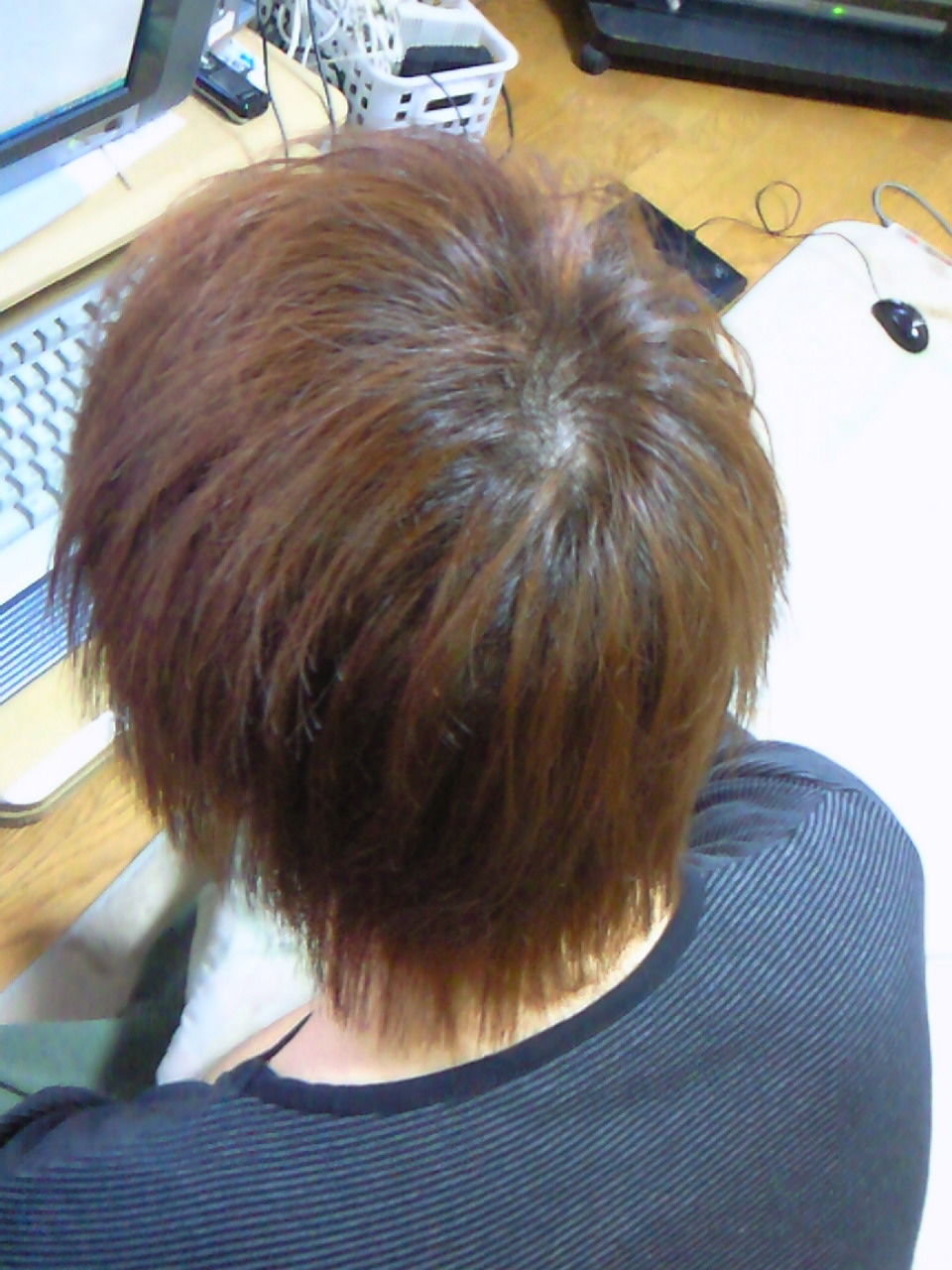 イメージ 4