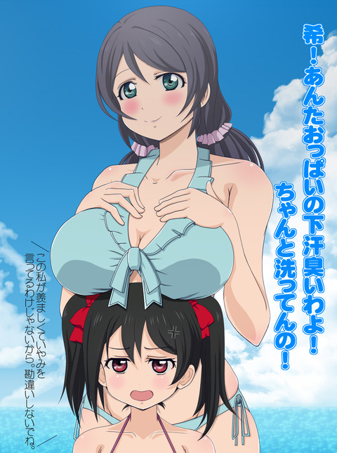 4回以上抜いたようなスクフェスエロ画像が一番ヌける！(´・ω・｀)その7070