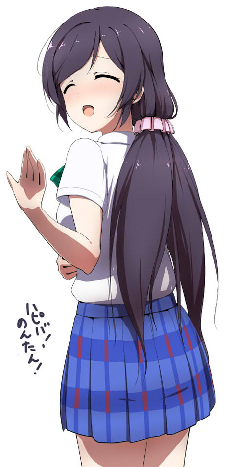 ブヒれるラブライブ娘画像でヌいてもいいと思うんだ!w7137