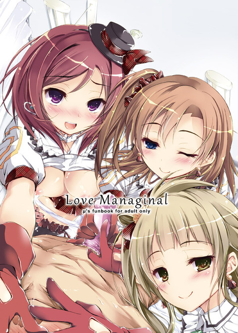 エッチすぎるラブライバー7048