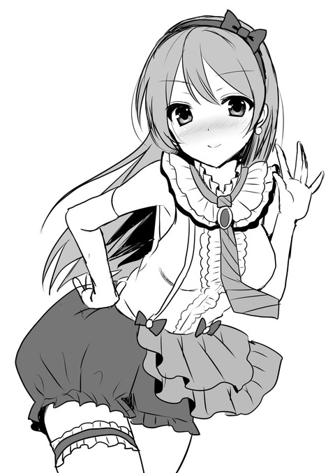 ラブライバーの画像でヌいてもいいと思うんだ！（＾ω＾）3074