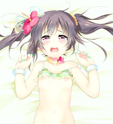 おまいらが一回でもヌいたラブライブガールズエロ画像下さいwwwwwwpart1718