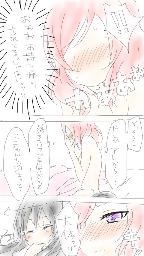 ラブライブガールズのエロ画像まとめ！Part393