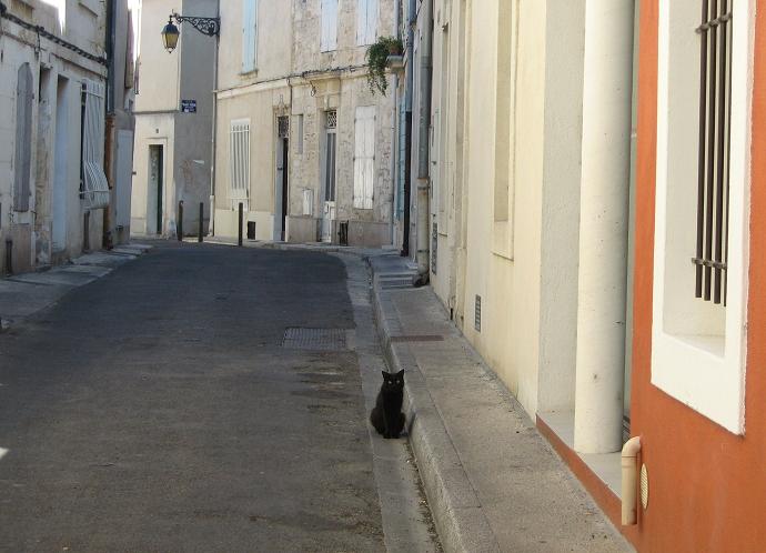 ガリアのローマと呼ばれた街 せれぶろぐ