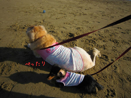 るーちゃんとしえちゃん