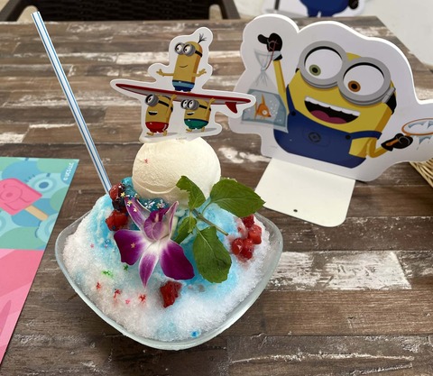 IMG_0304 のコピー