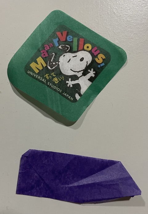 IMG_6898 - コピー