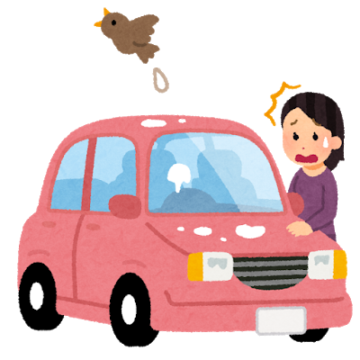 bird_tori_fun_car