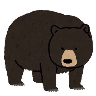 animal_bear_america_kurokuma